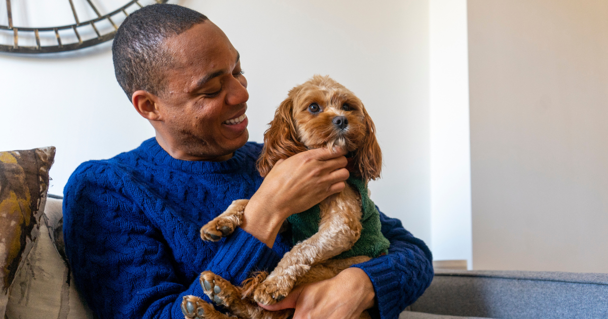 Statystyczne różnice w opiece nad psami rasowymi i nierasowymi