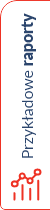 Przykładowe raporty